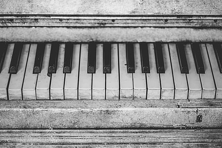gray and white electronic keyboard