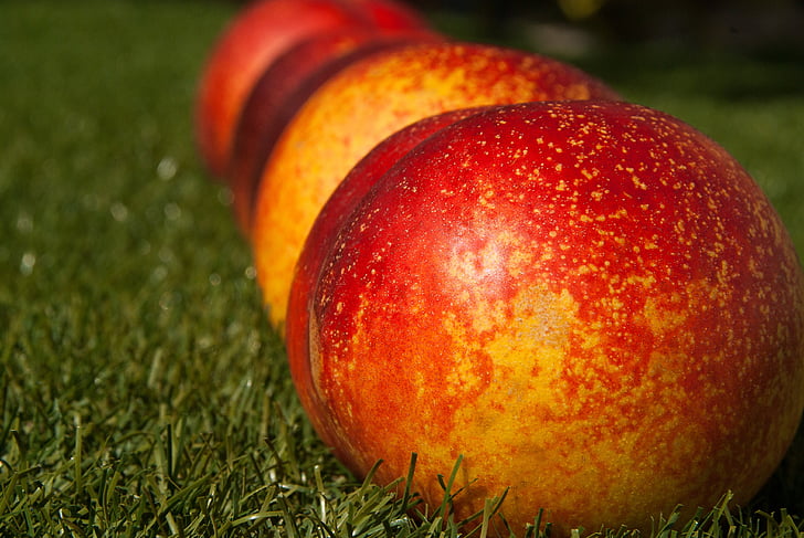 depth of field photography of apples on green grass