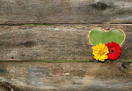 yellow and red flower hanging on brown wooden board