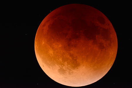 shallow focus of red moon