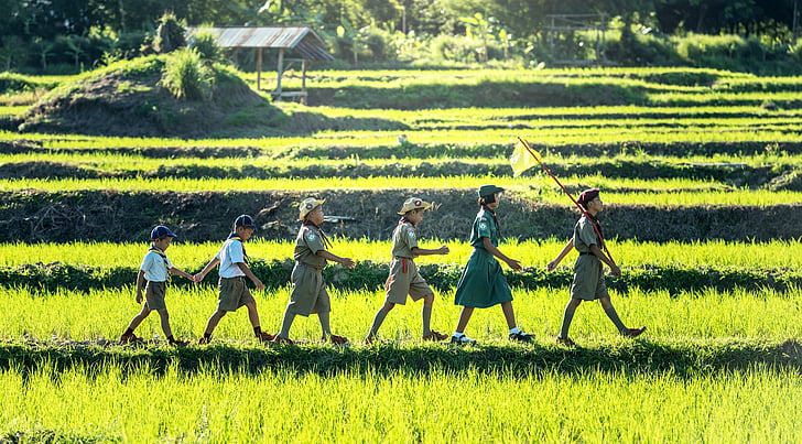 six children scout walking on rice field