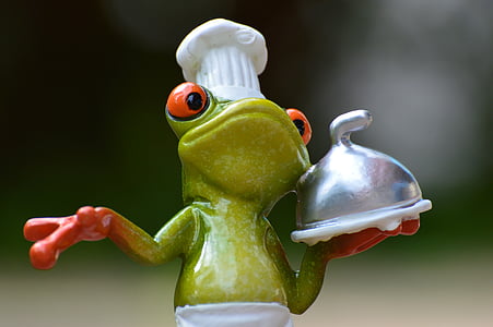 selective focus photography of green frog holding white tray