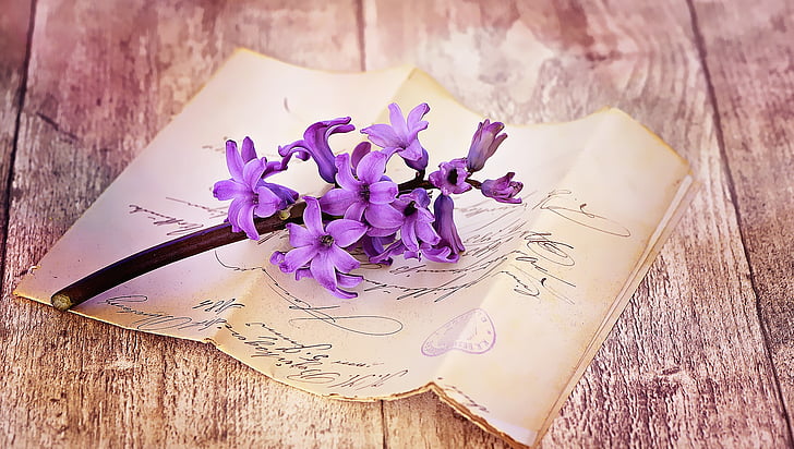 purple petaled flowers on printer paper