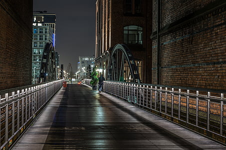bridge near building during nighttime
