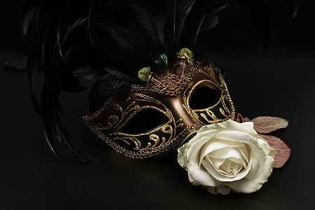 white rose near brown masquerade