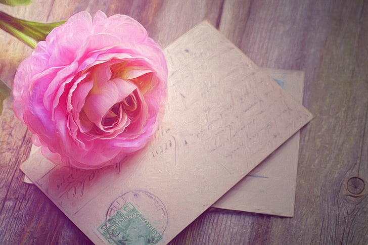 pink petaled flower on brown letter card
