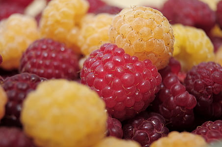 closeup photo of pile of raspberries
