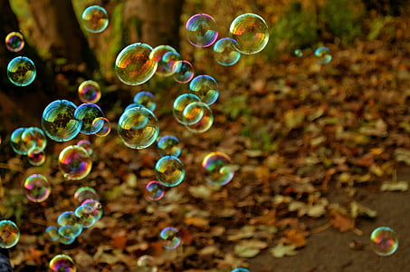 multicolored floating bubbles