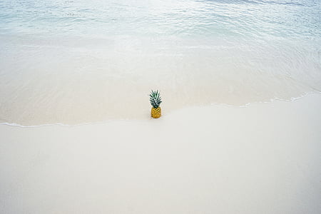 pineapple beside seashore