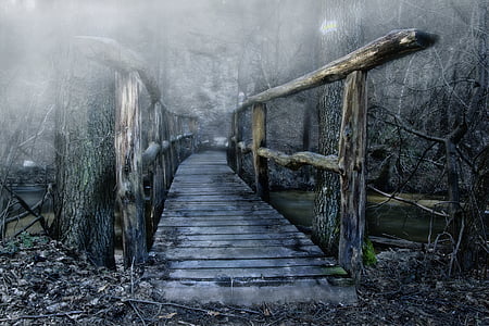 gray wooden bridge