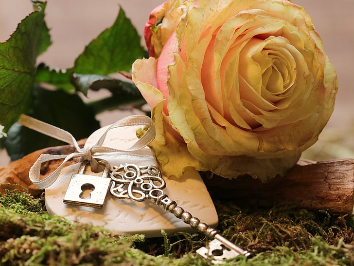silver-colored key keychain with yellow flower