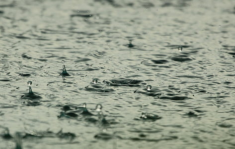 water drops micro photographyu