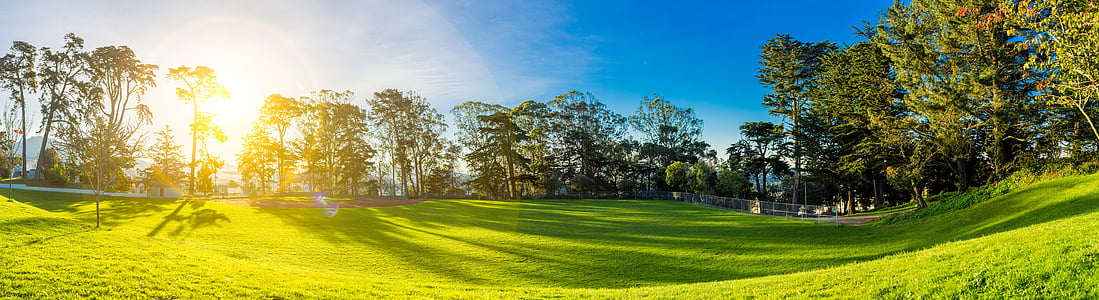 green grass field surrounded by trees at daytime