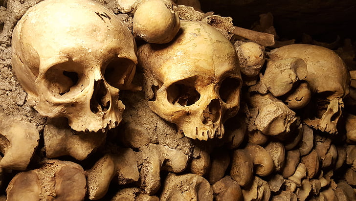 three skulls on wall