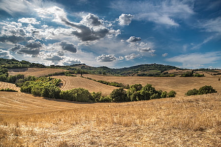 landscape photo of grass field