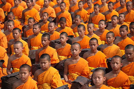 meditating monks photo