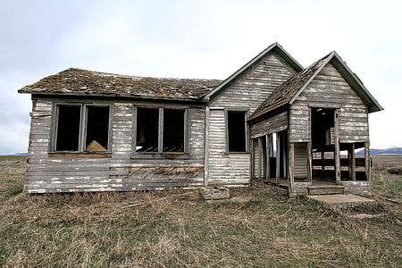 shallow photography of abandoned gray plank house