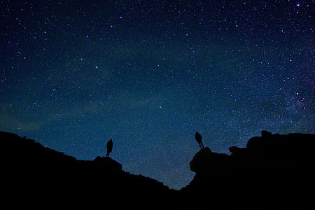two person standing on rock under starry night silhouette photograph