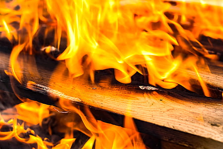 close up photo of wood fire