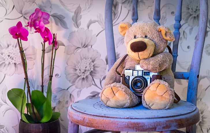 camera on brown bear beside flower