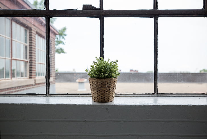 green plant in brown wicker basket beside clear glass window