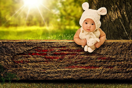 baby holding plush toy on wooden board