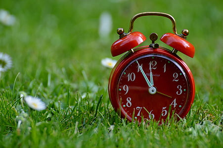 selective focus photo of a red bell alarm clock on green grass field