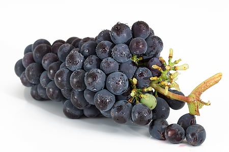 purple grape bundle