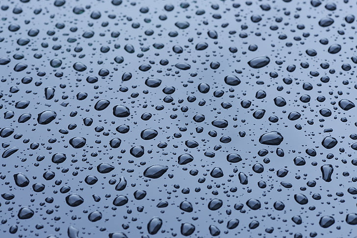 closeup photo of a dew drops