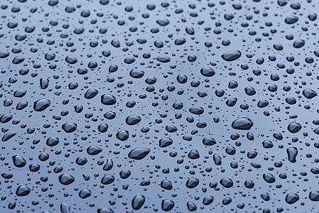 closeup photo of a dew drops