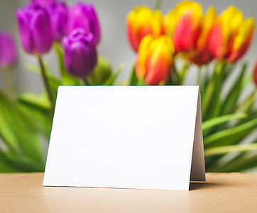 shallow focus photography of white paper in front of tulips