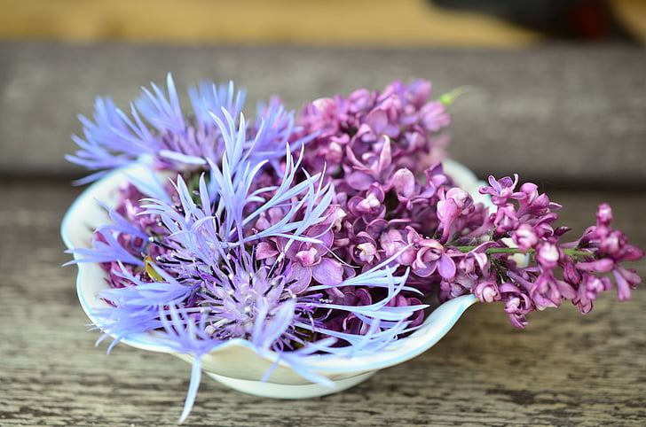 purple petaled flowers on bowl