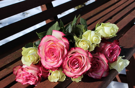 pink and yellow petaled flowers on brown wooden bench