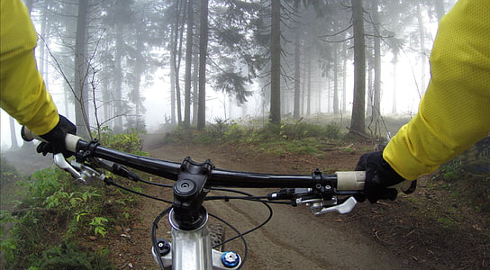 person riding bicycle surrounded by forest trees