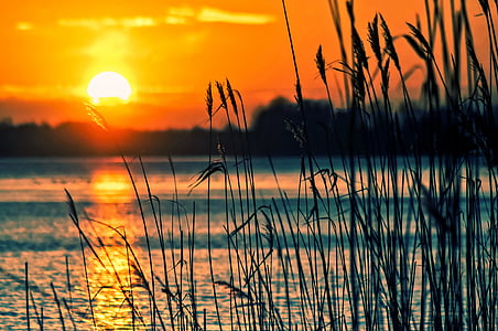 photography of grass beside body of water during golden hour