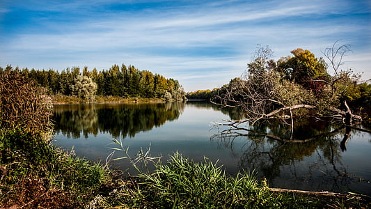 lake near the forest during day