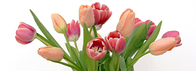 orange and red tulip flower arrangement