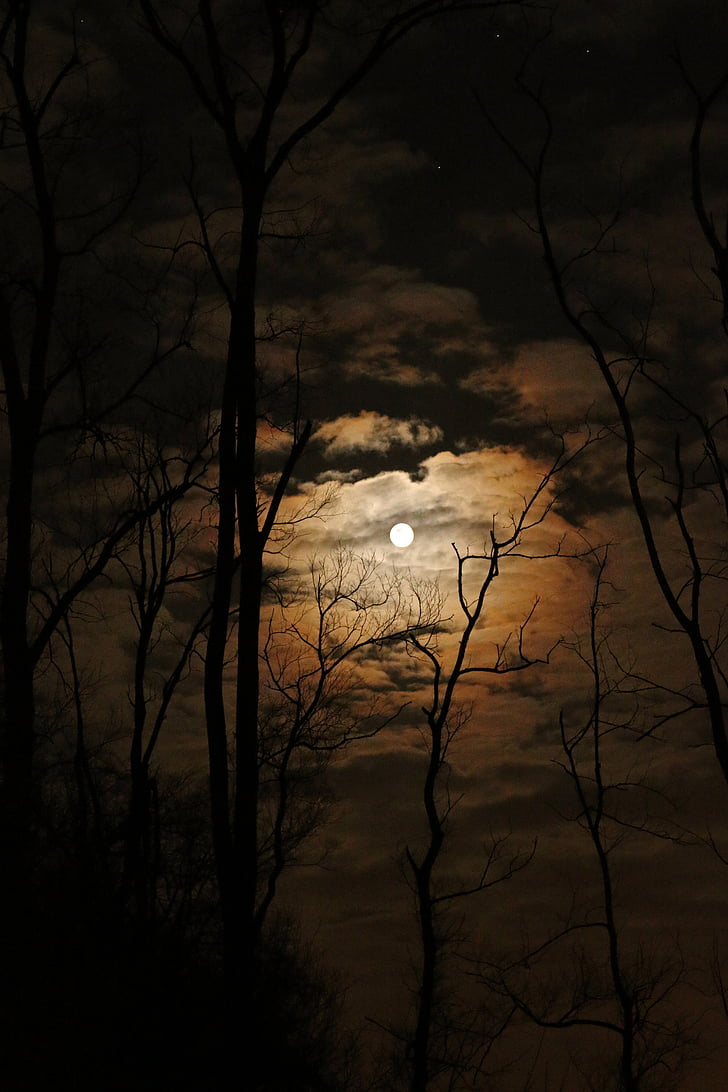 dark moonlight 580 x 260