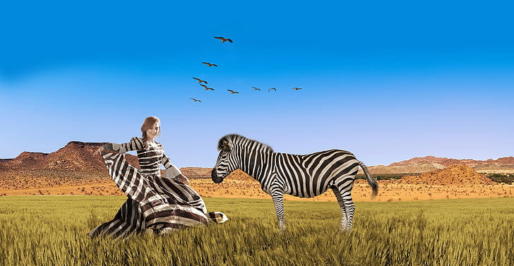 woman wearing zebra print dress near zebra on green grass field