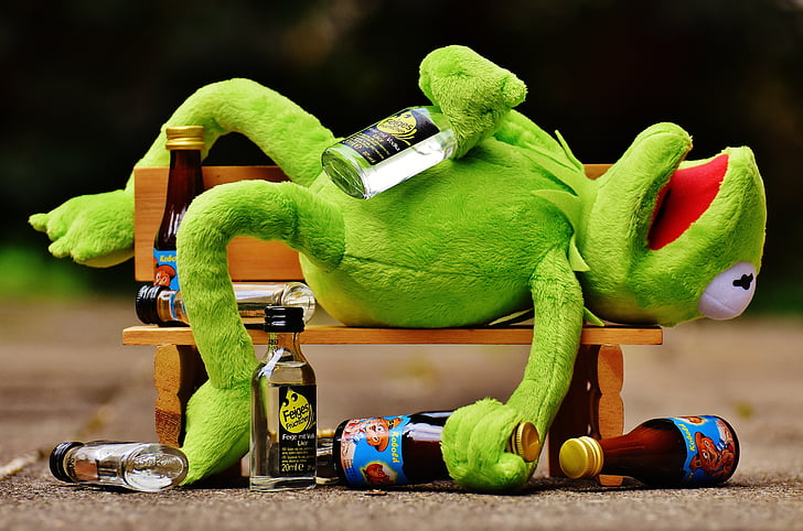 Kermit the Frog with glass bottles lying on wooden bench