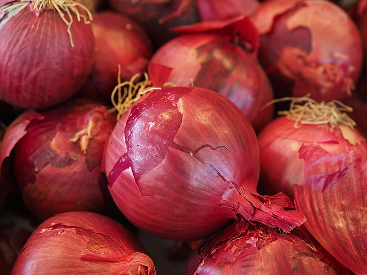 red onion on onions lot