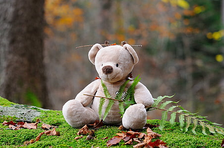shallow focus photography of brown bear plush toy holding green plant during daytime