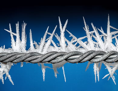 gray steel barb wire covered in ice