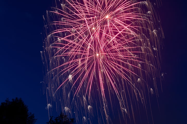photo of pink fireworks