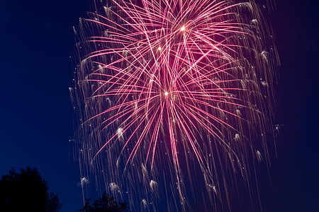 photo of pink fireworks