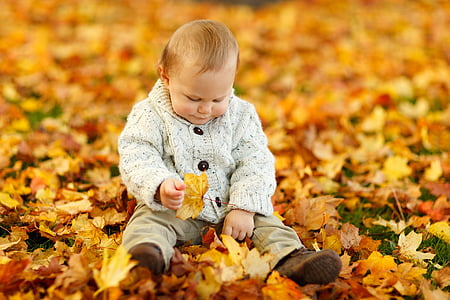 baby wearing gray coat sitting on maple leaves