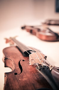 brown violin in macroshot photography