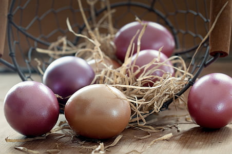 several organic eggs near black metal fruit basket