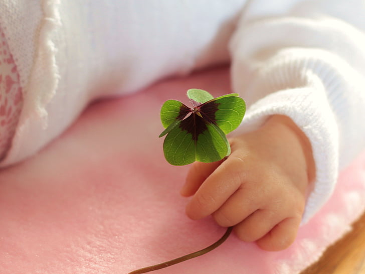 toddler holding green leaves