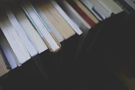 closeup photo of books
